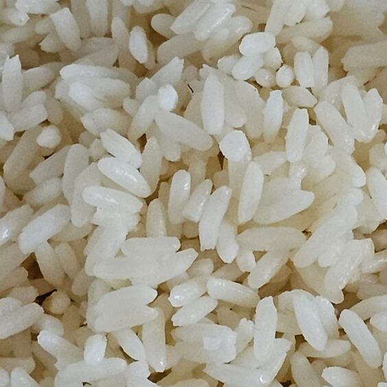 white-rice